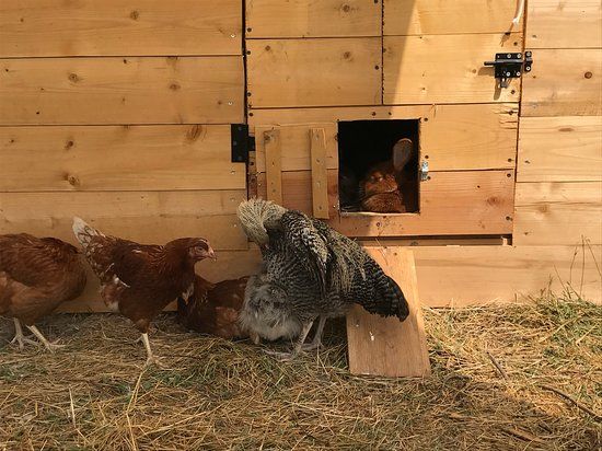 Ferme du petit santen